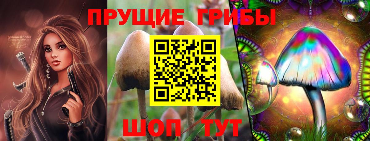 где можно купить наркотик  Галлюциногенные грибы Magic Shrooms  Вход с VPN  Чайковский 