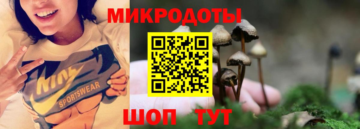 Галлюциногенные грибы Magic Shrooms Чайковский